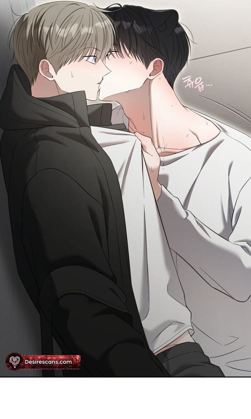The Purrfect Match Chapter 35 page 70 - 