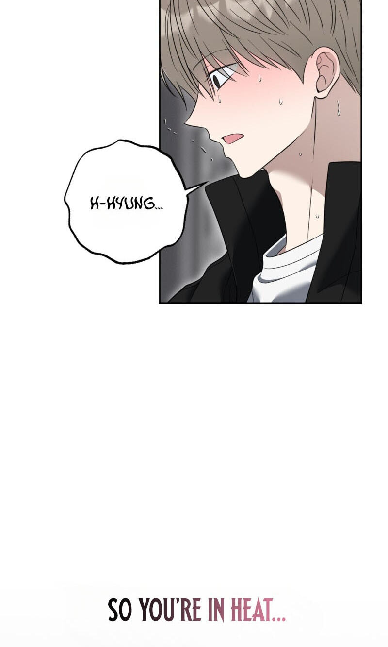 The Purrfect Match Chapter 36 page 12 - 