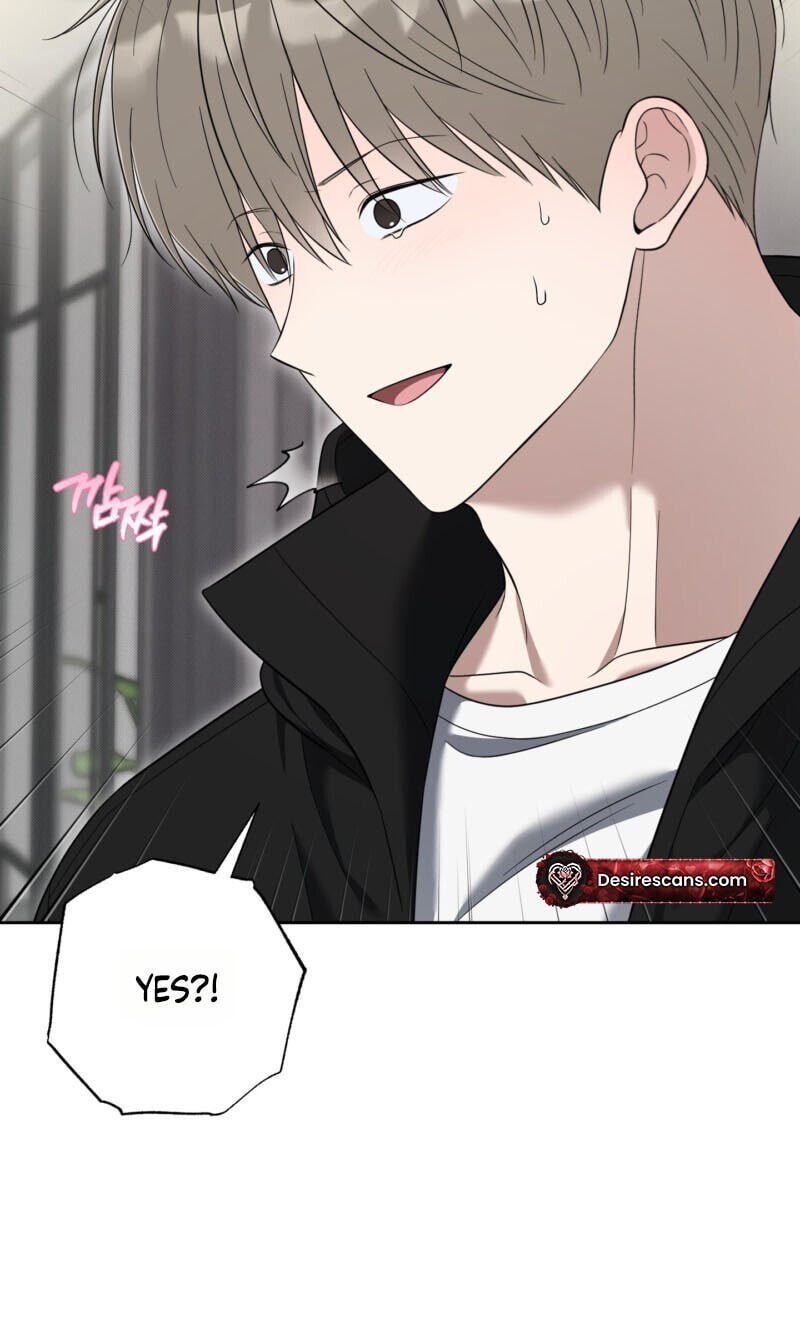 The Purrfect Match Chapter 36 page 16 - 