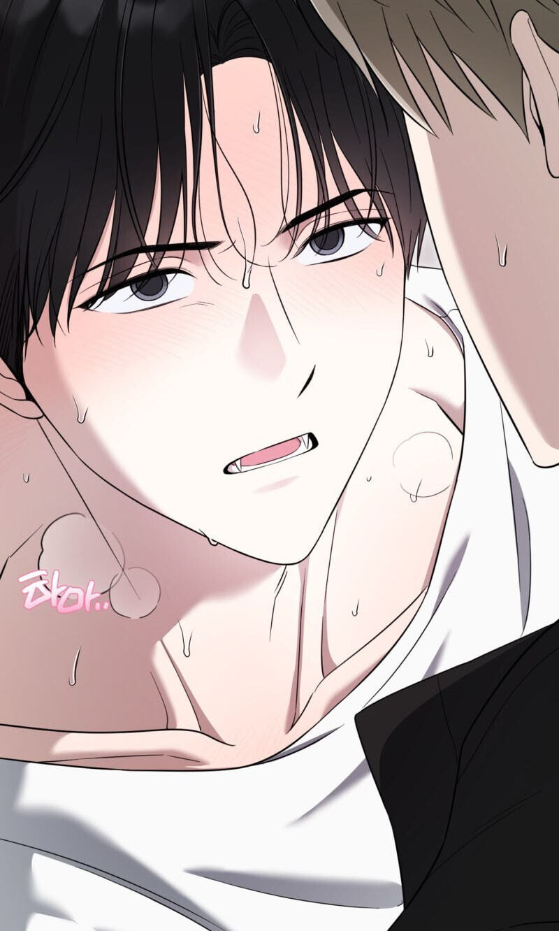 The Purrfect Match Chapter 36 page 18 - 