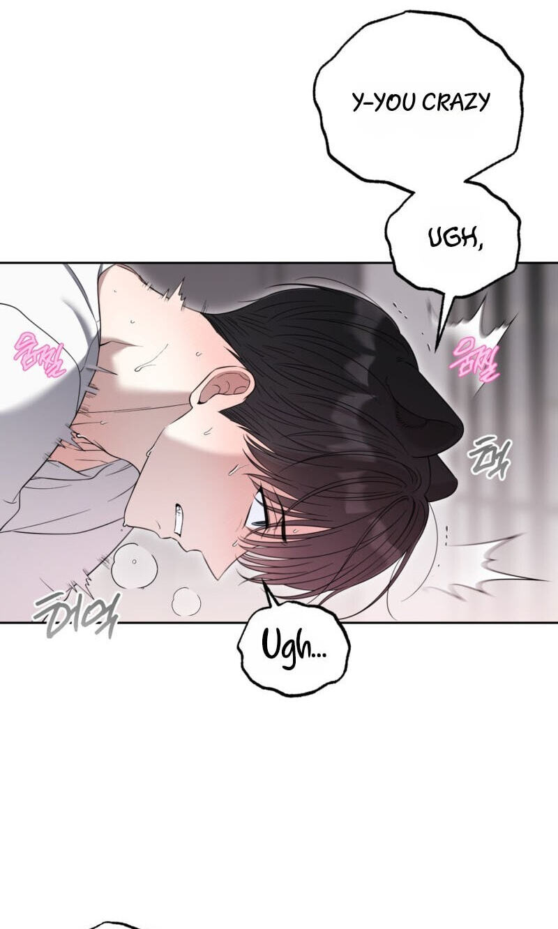 The Purrfect Match Chapter 36 page 39 - 