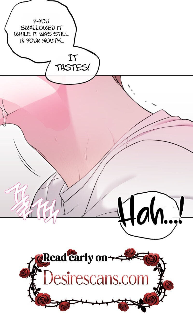 The Purrfect Match Chapter 36 page 40 - 
