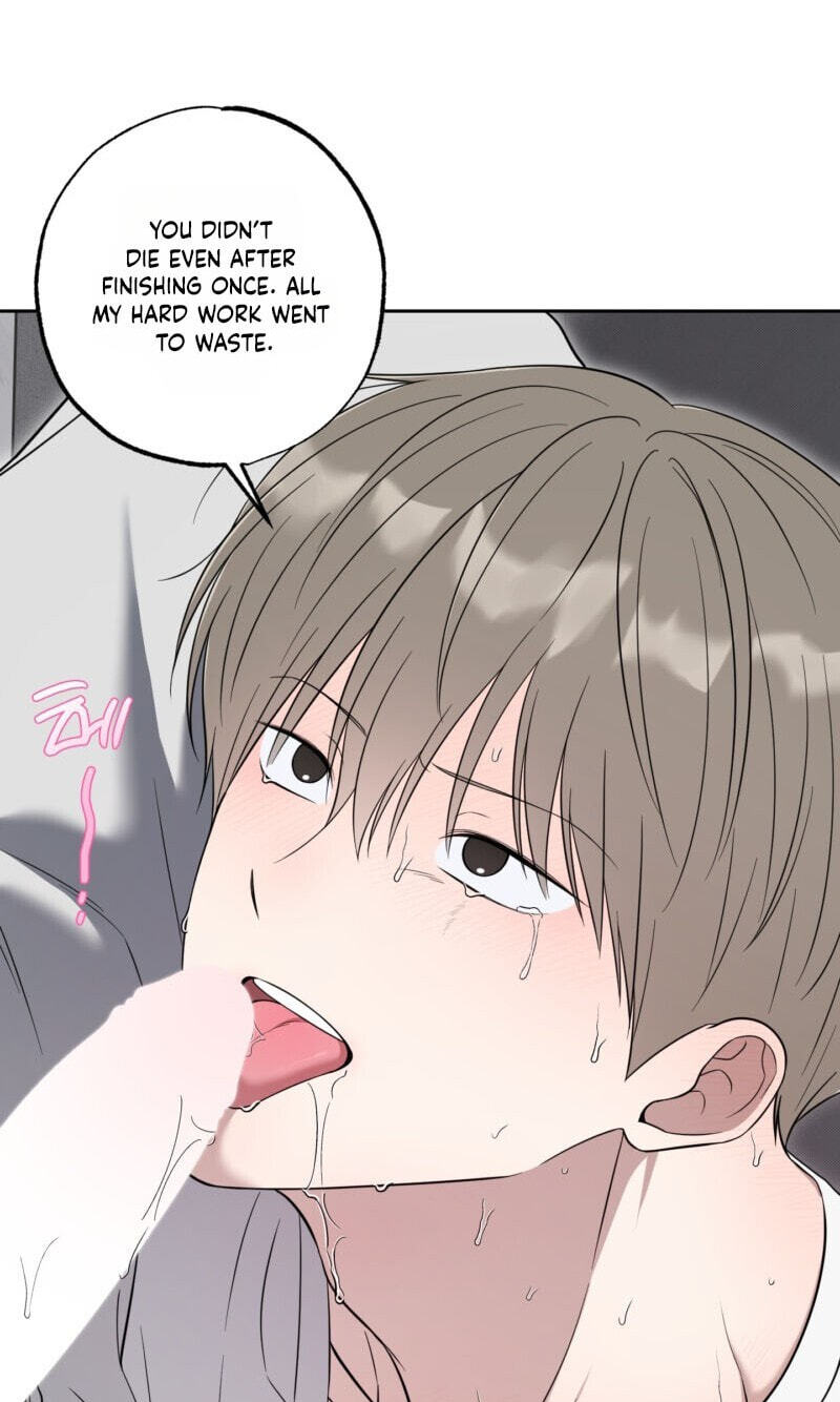 The Purrfect Match Chapter 36 page 43 - 