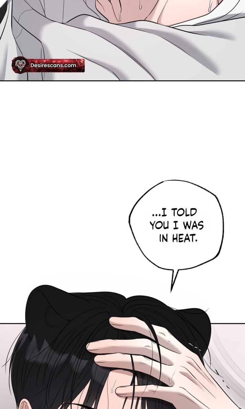 The Purrfect Match Chapter 36 page 44 - 