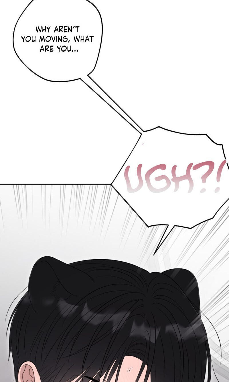 The Purrfect Match Chapter 36 page 48 - 