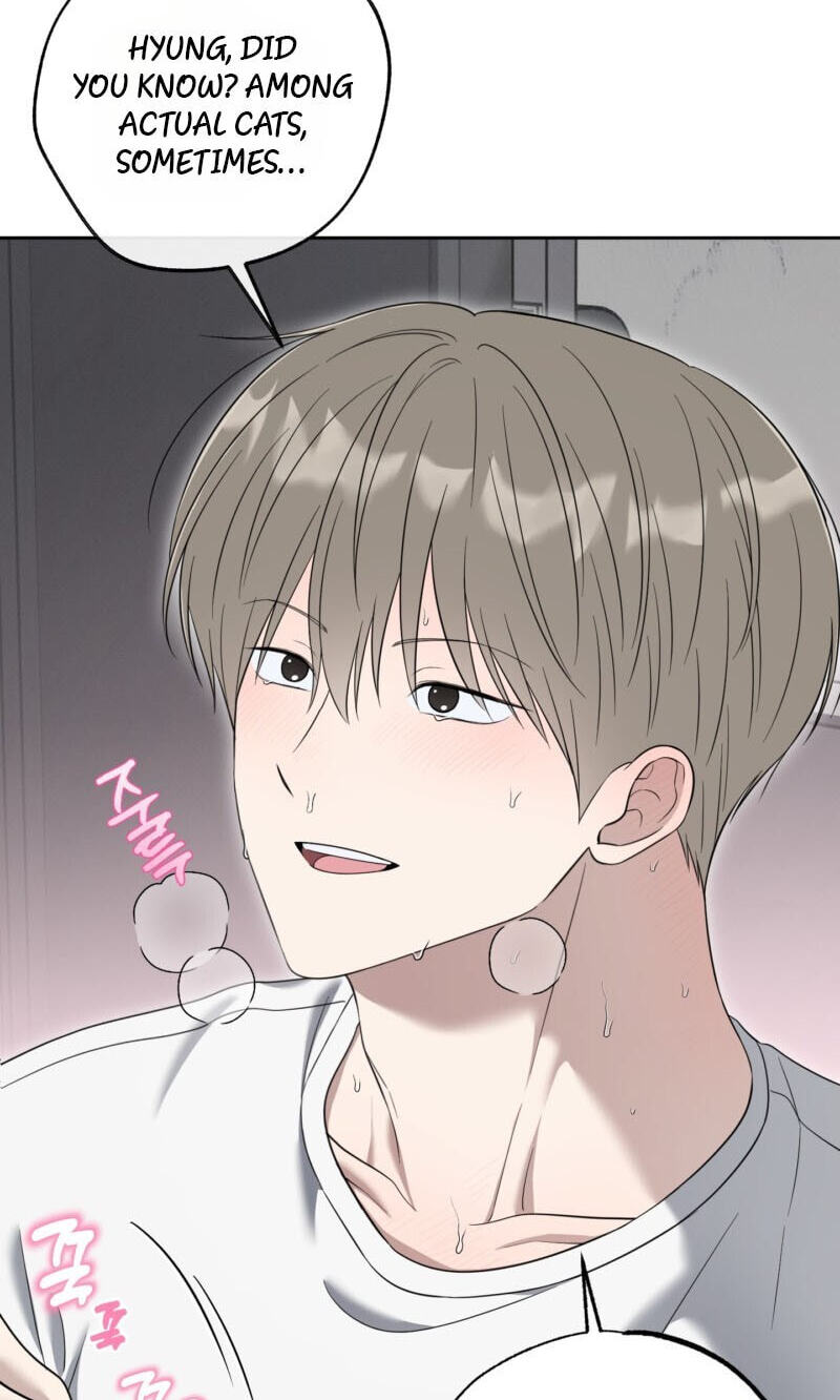 The Purrfect Match Chapter 36 page 51 - 