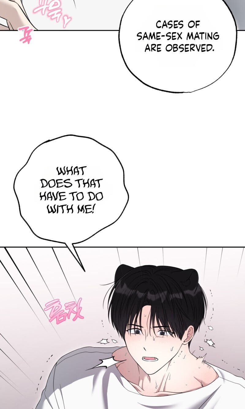 The Purrfect Match Chapter 36 page 52 - 