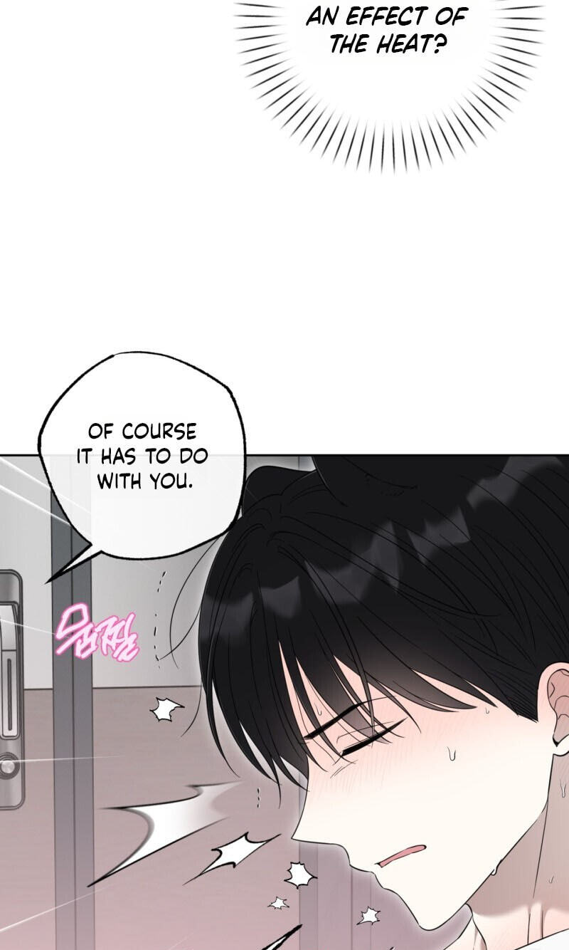 The Purrfect Match Chapter 36 page 55 - 
