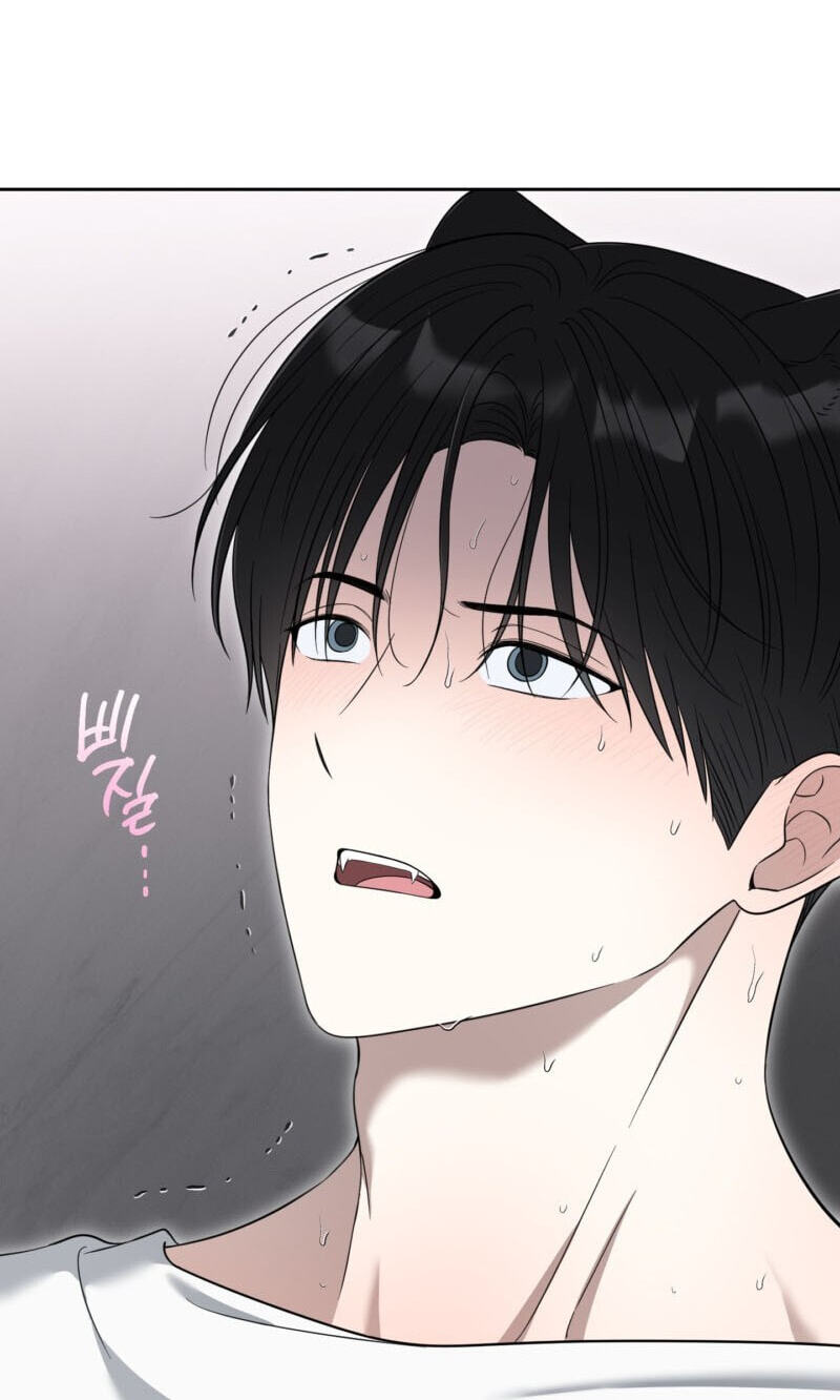 The Purrfect Match Chapter 36 page 63 - 