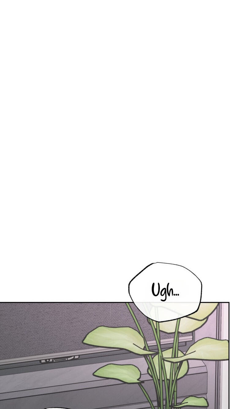 The Purrfect Match Chapter 36 page 65 - 
