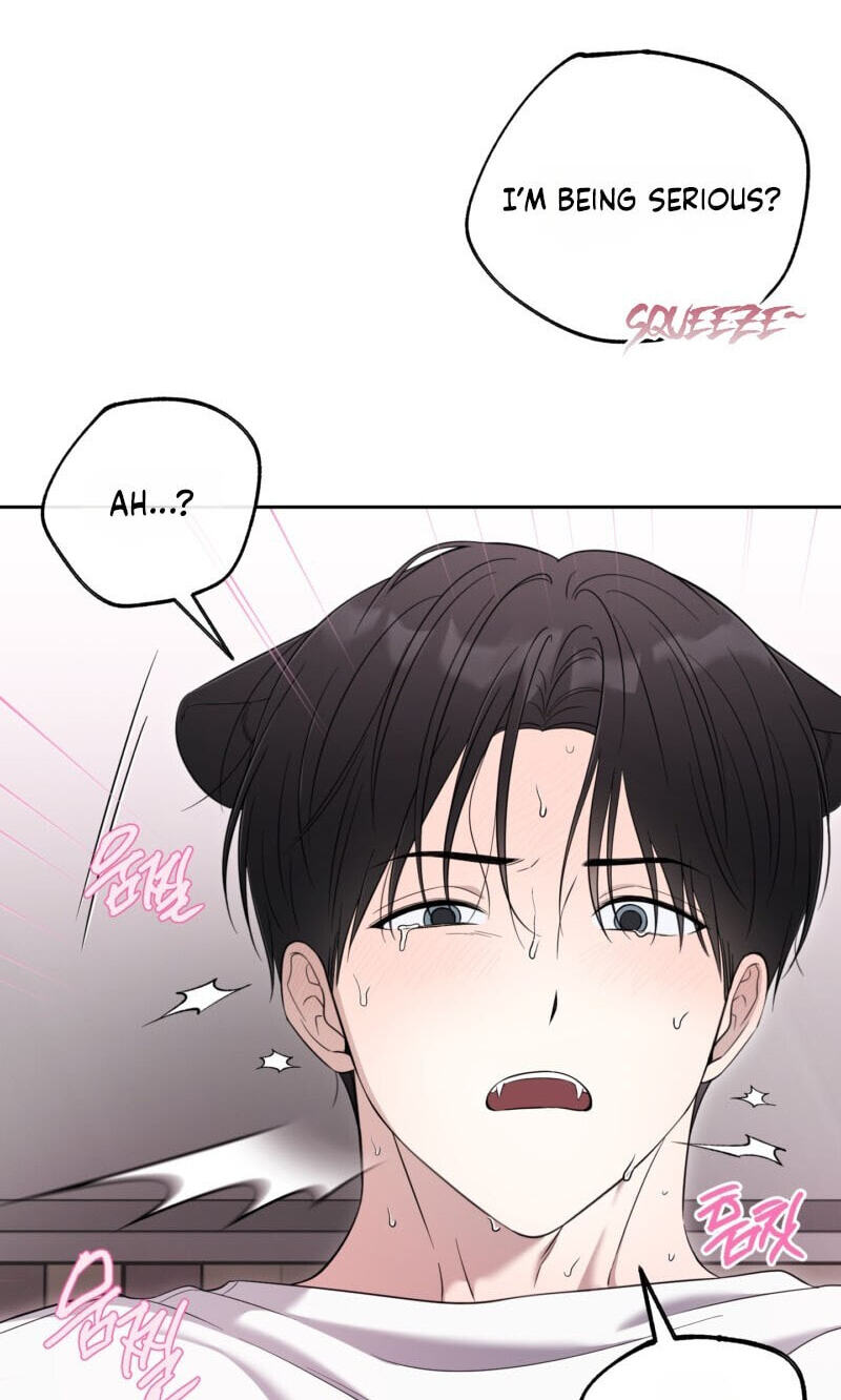 The Purrfect Match Chapter 36 page 69 - 