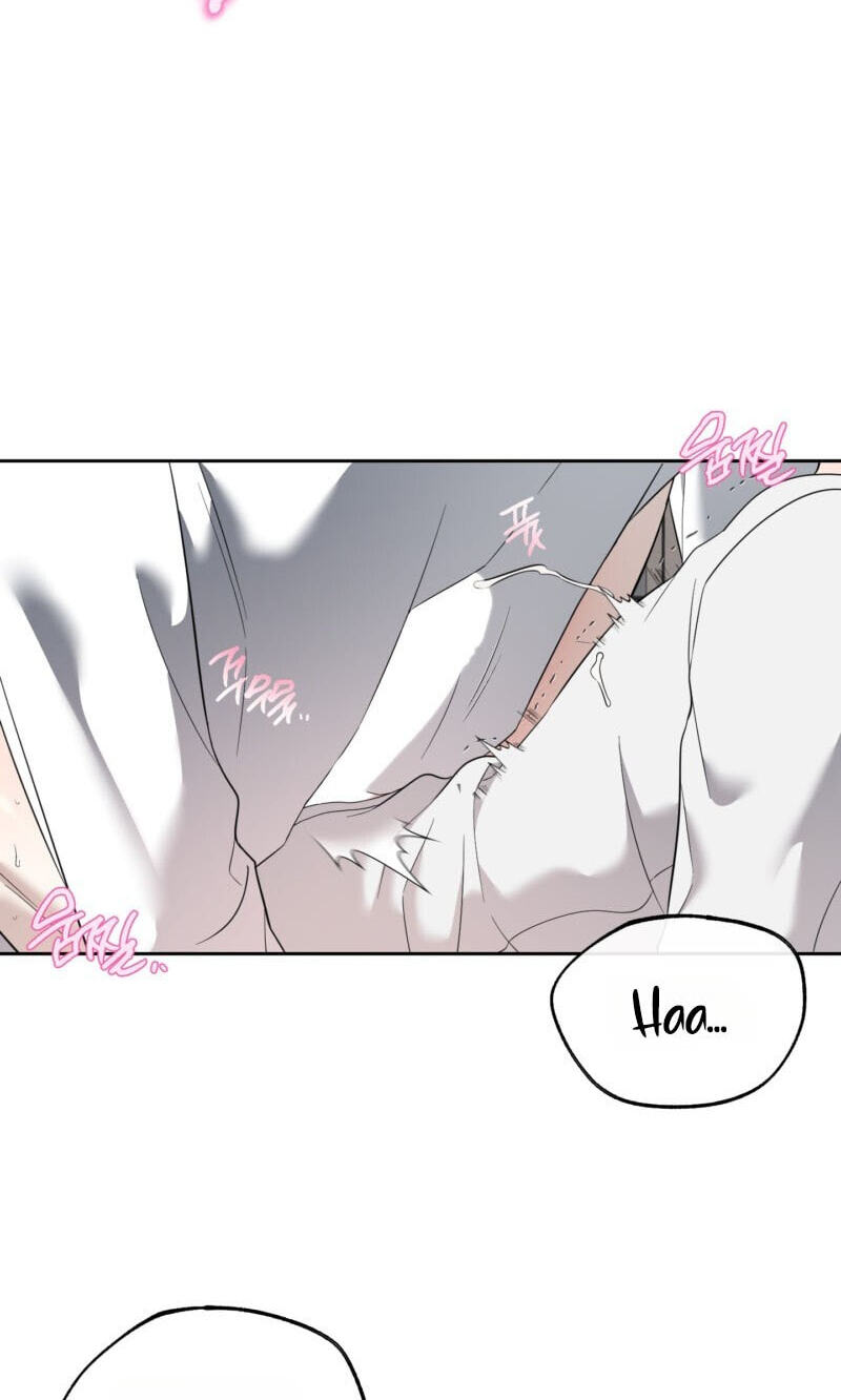 The Purrfect Match Chapter 36 page 72 - 