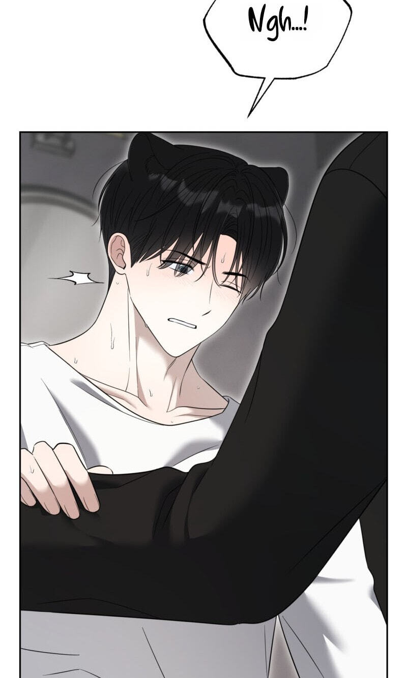 The Purrfect Match Chapter 36 page 10 - 
