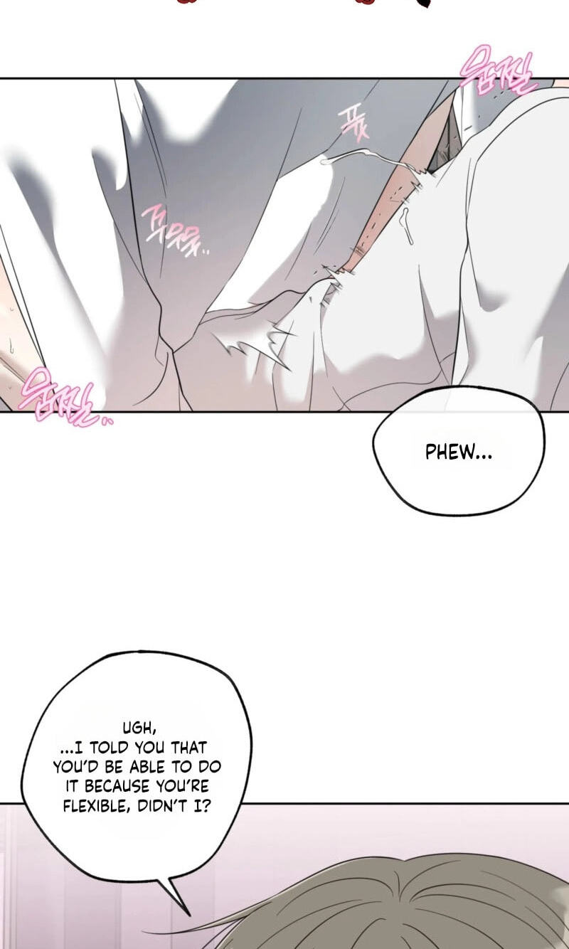 The Purrfect Match Chapter 37 page 2 - 