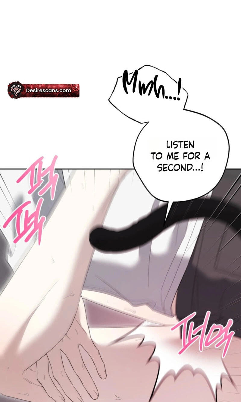 The Purrfect Match Chapter 37 page 16 - 
