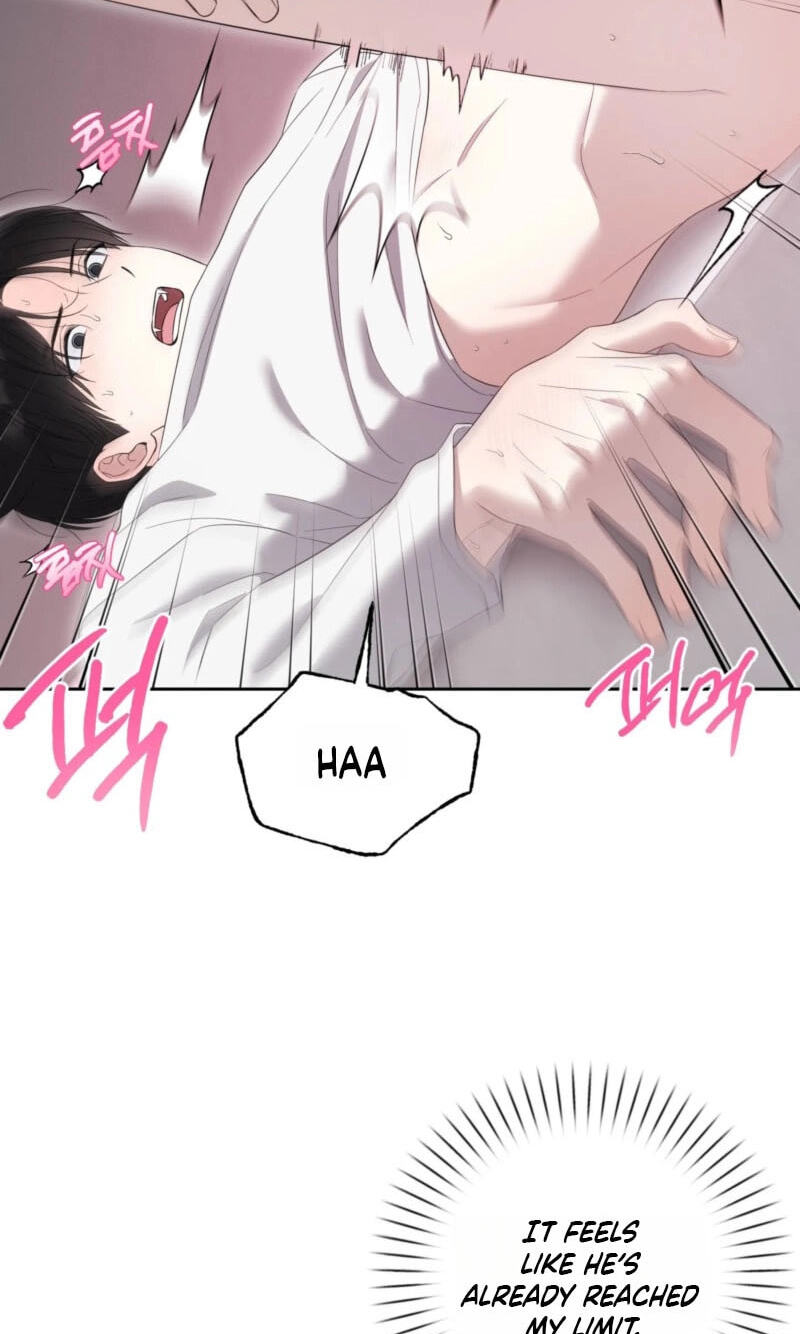 The Purrfect Match Chapter 37 page 17 - 