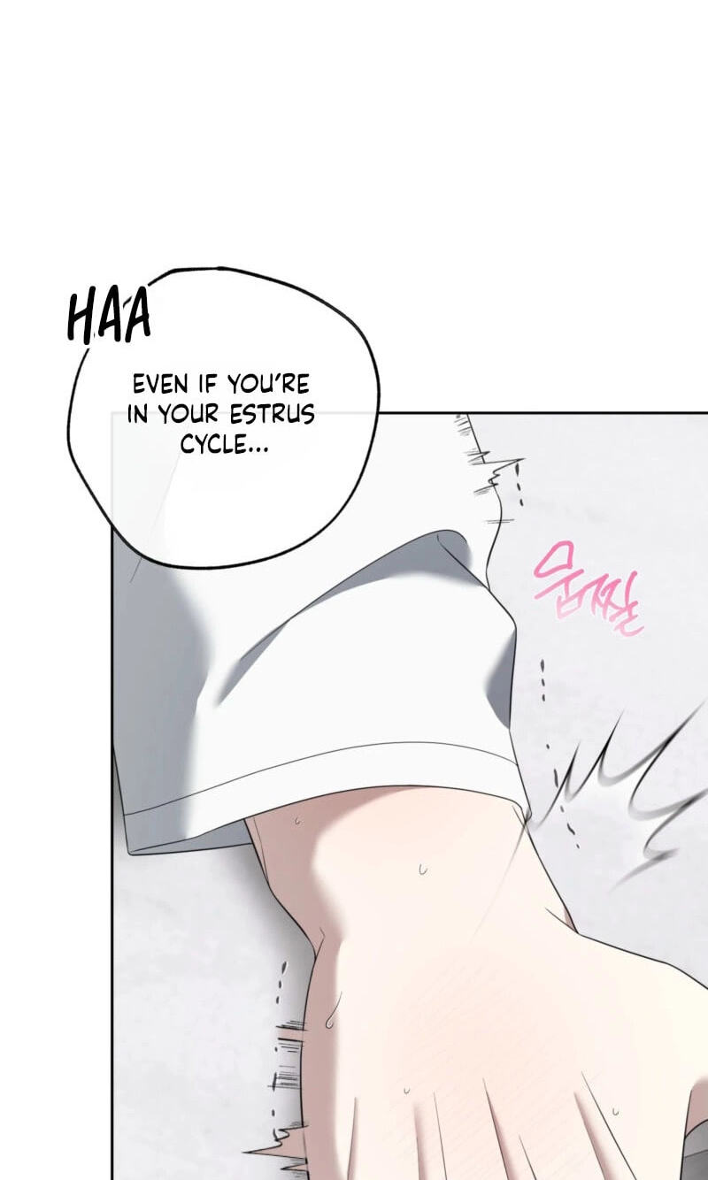 The Purrfect Match Chapter 37 page 26 - 