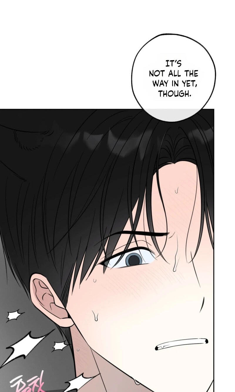 The Purrfect Match Chapter 37 page 4 - 