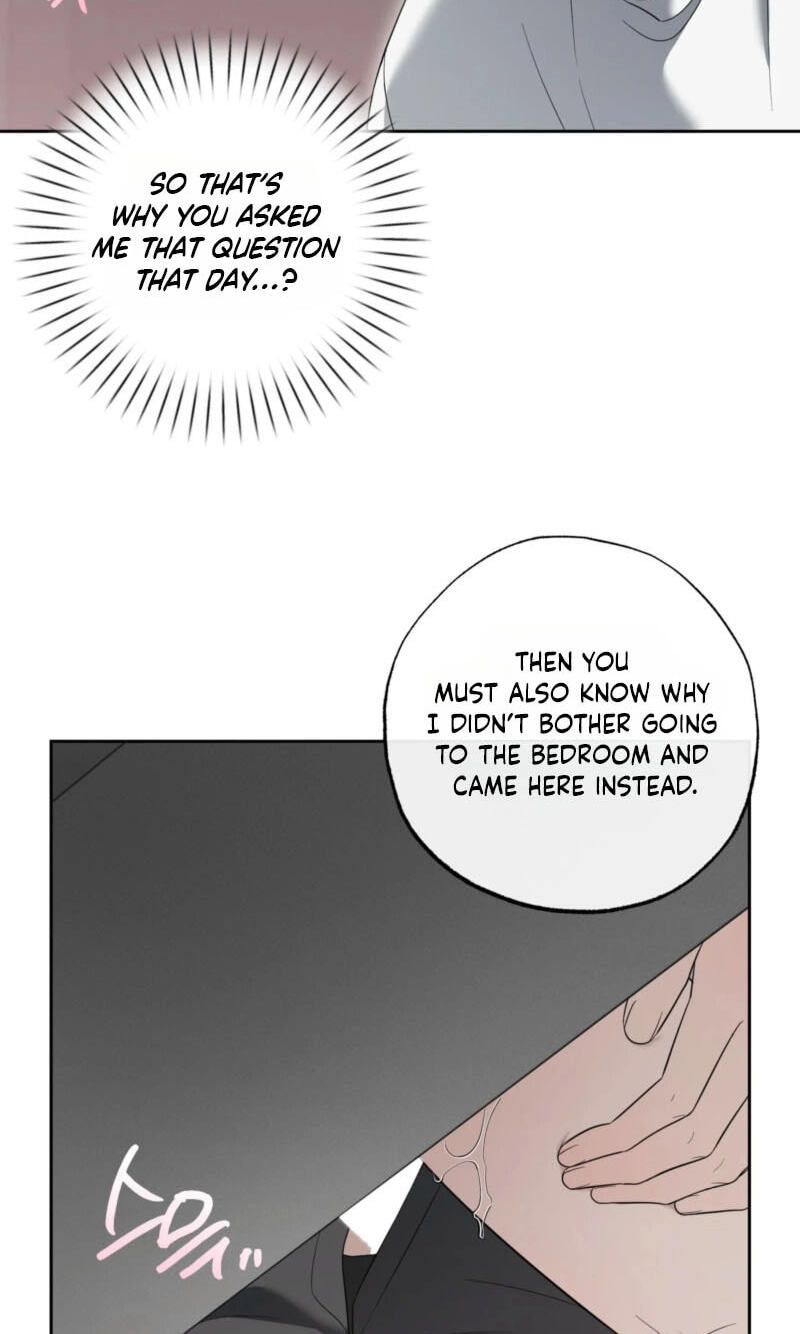 The Purrfect Match Chapter 37 page 32 - 