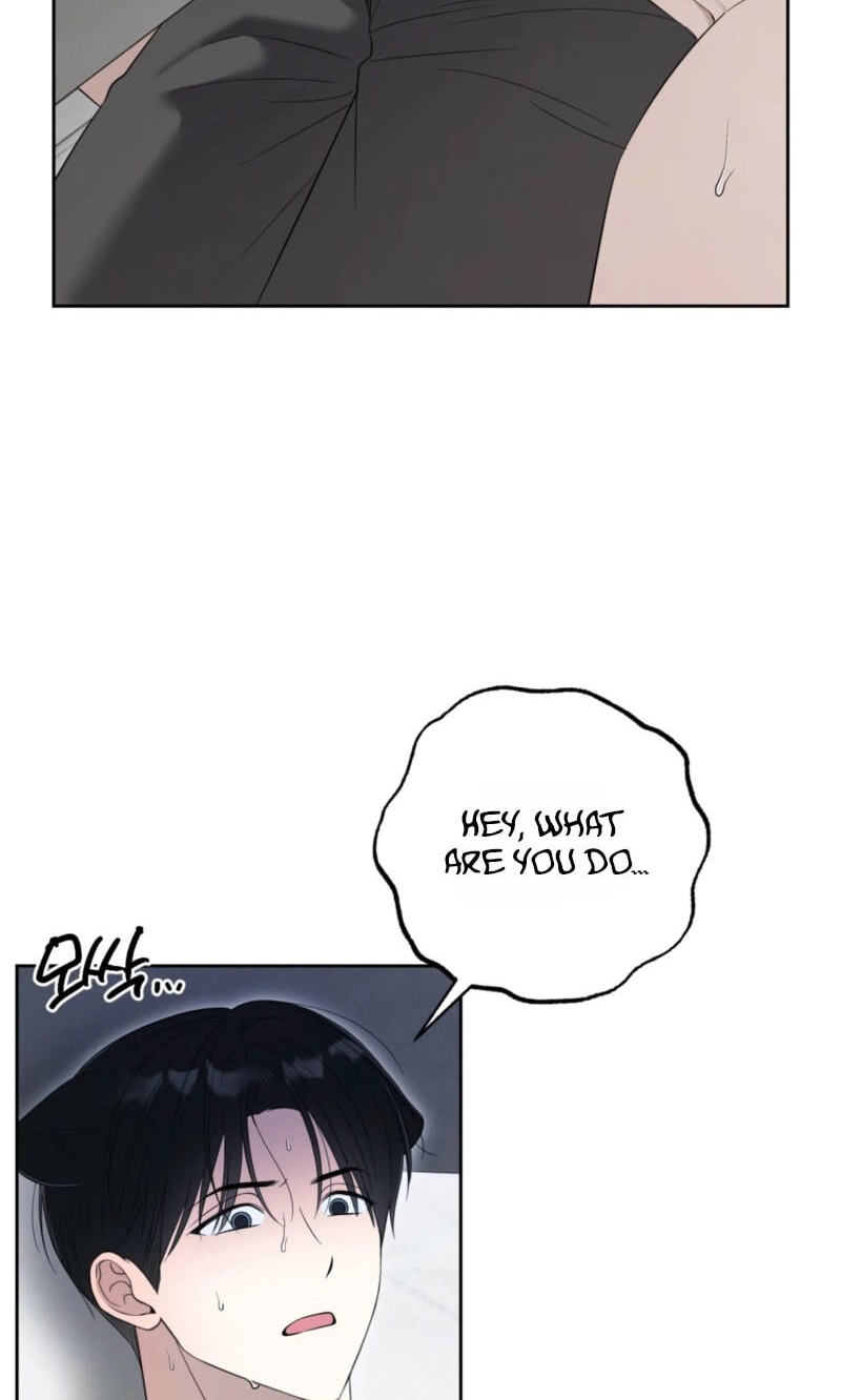 The Purrfect Match Chapter 37 page 33 - 
