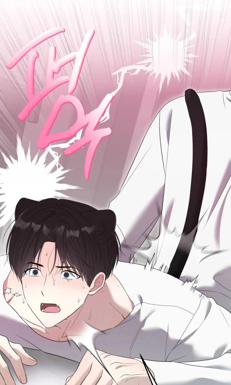 The Purrfect Match Chapter 37 page 35 - 