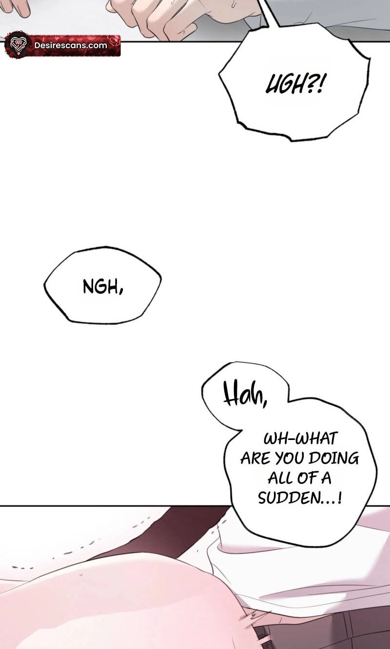 The Purrfect Match Chapter 37 page 36 - 