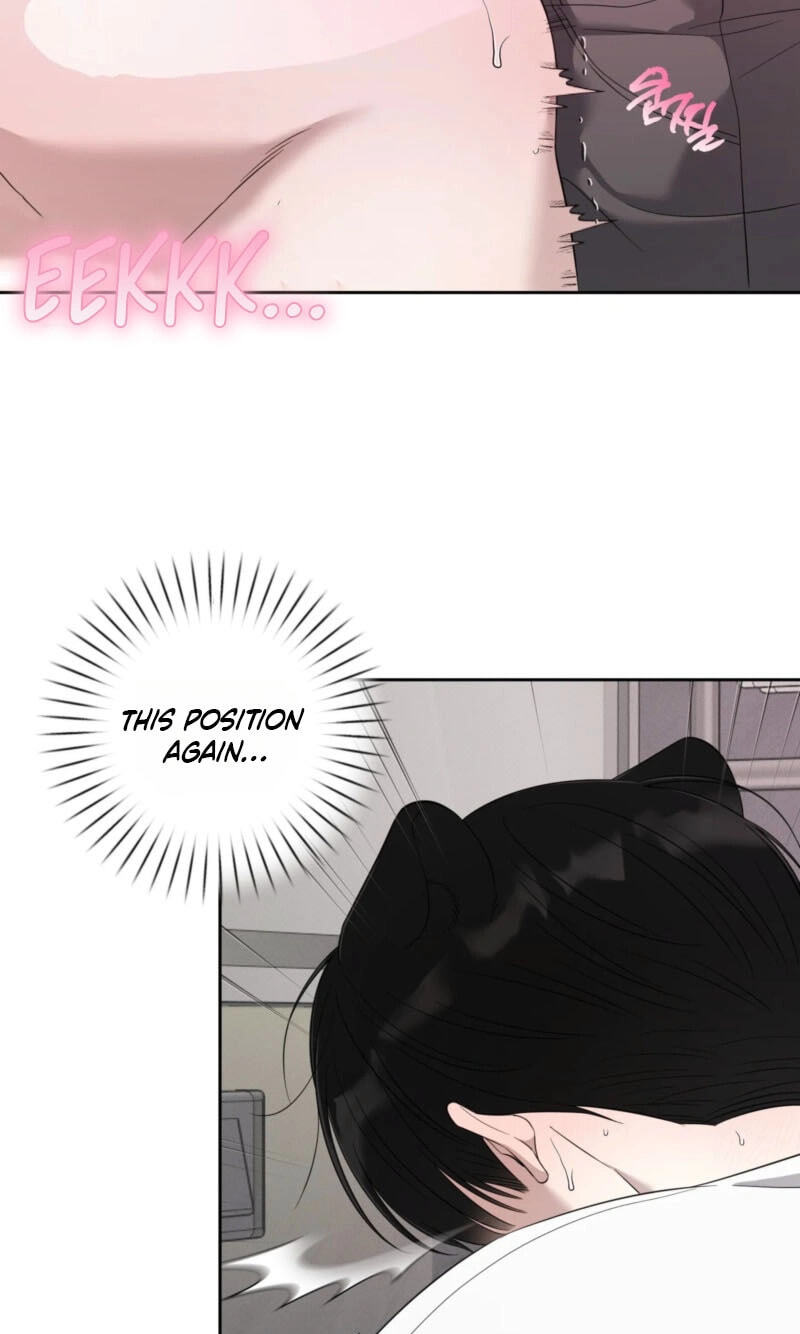 The Purrfect Match Chapter 37 page 37 - 