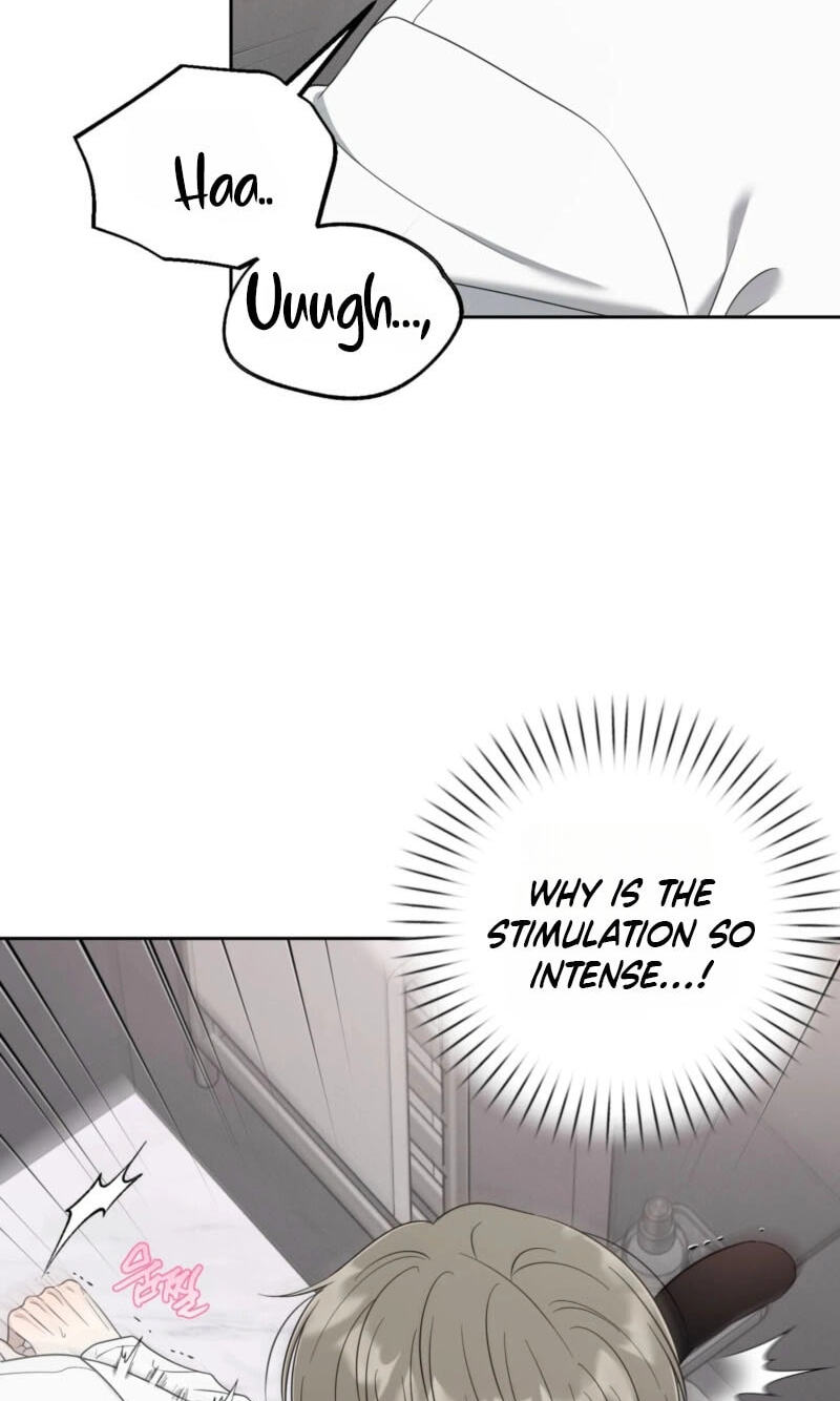 The Purrfect Match Chapter 37 page 38 - 