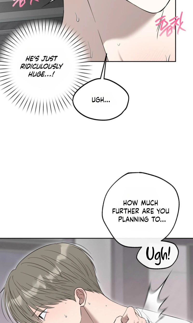 The Purrfect Match Chapter 37 page 5 - 