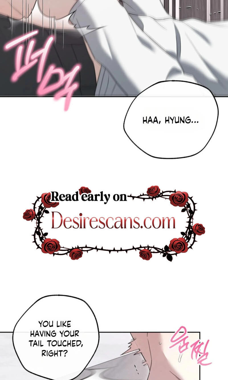 The Purrfect Match Chapter 37 page 42 - 