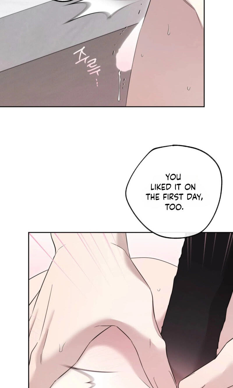 The Purrfect Match Chapter 37 page 43 - 