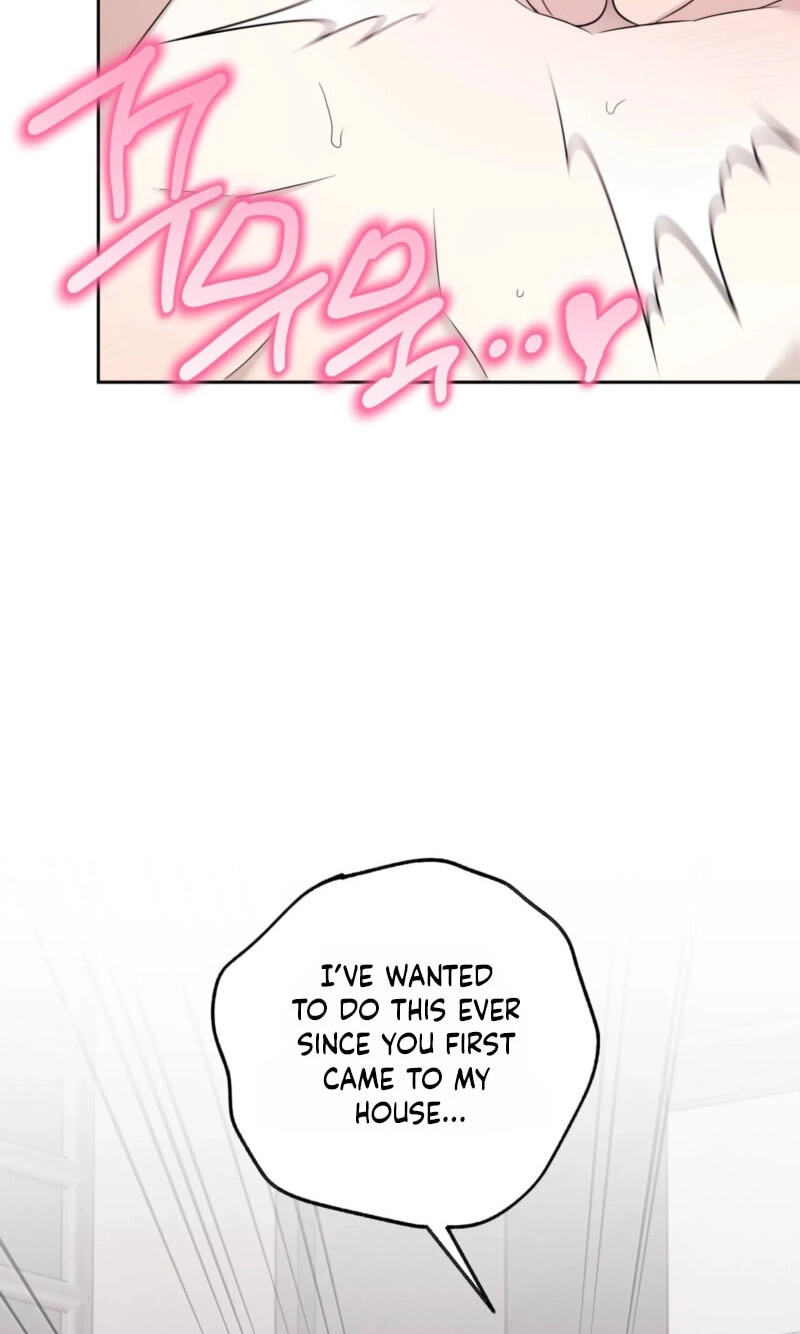 The Purrfect Match Chapter 37 page 44 - 