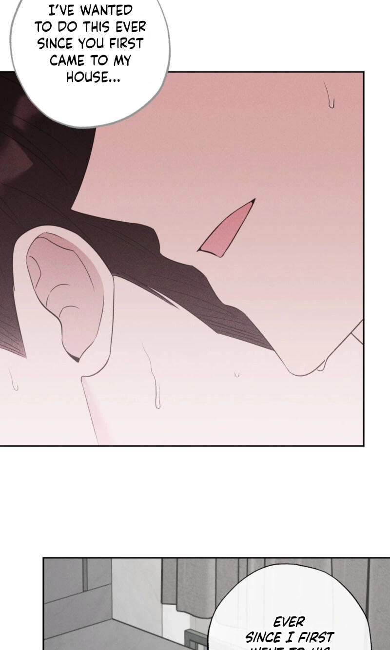 The Purrfect Match Chapter 37 page 61 - 