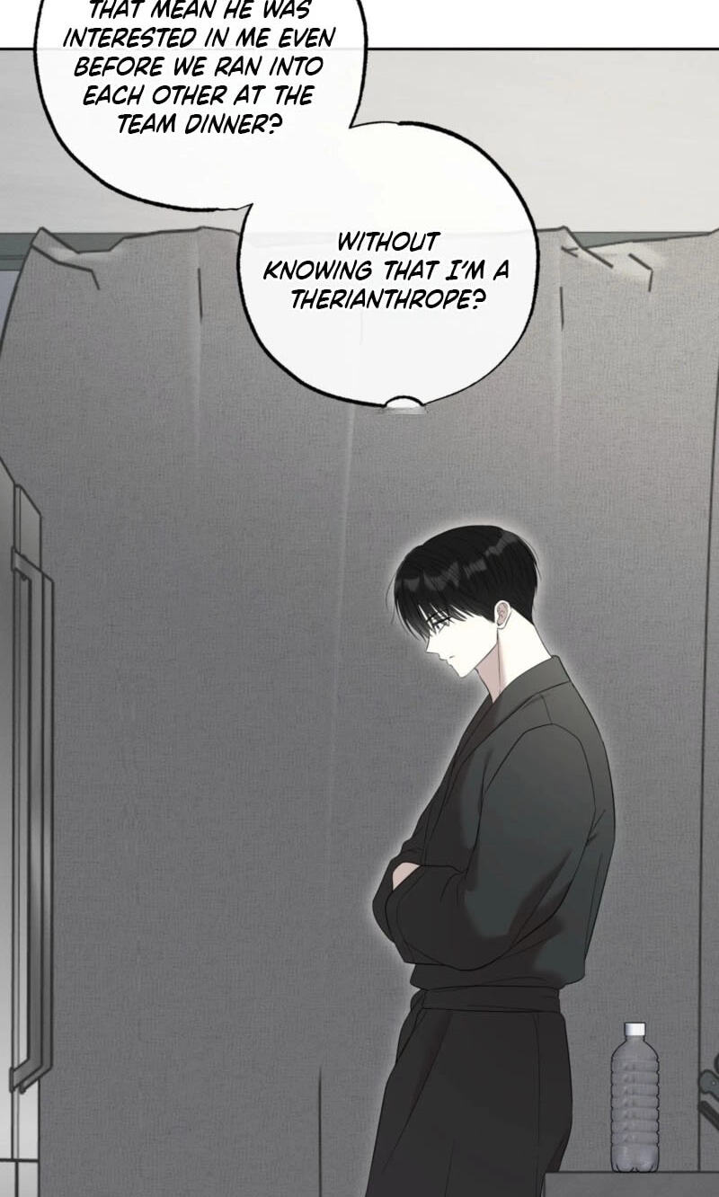 The Purrfect Match Chapter 37 page 63 - 