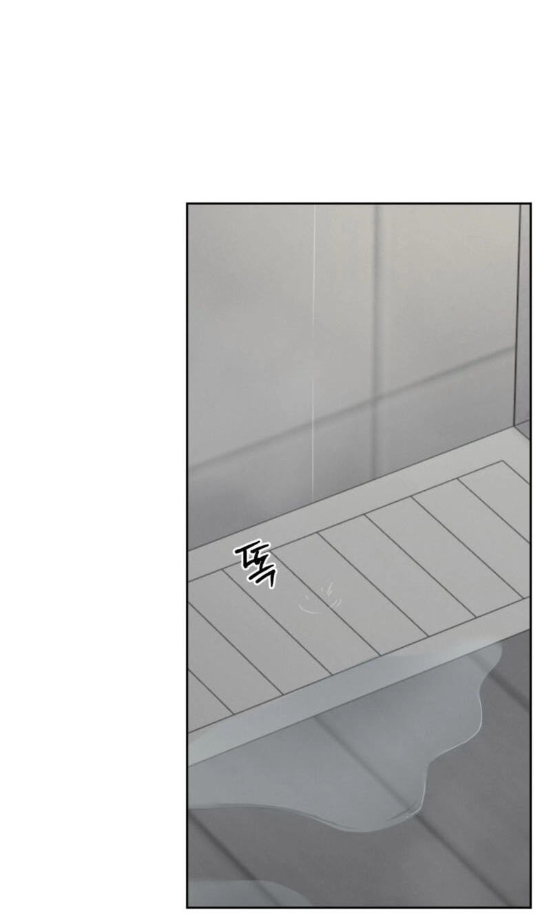 The Purrfect Match Chapter 37 page 69 - 