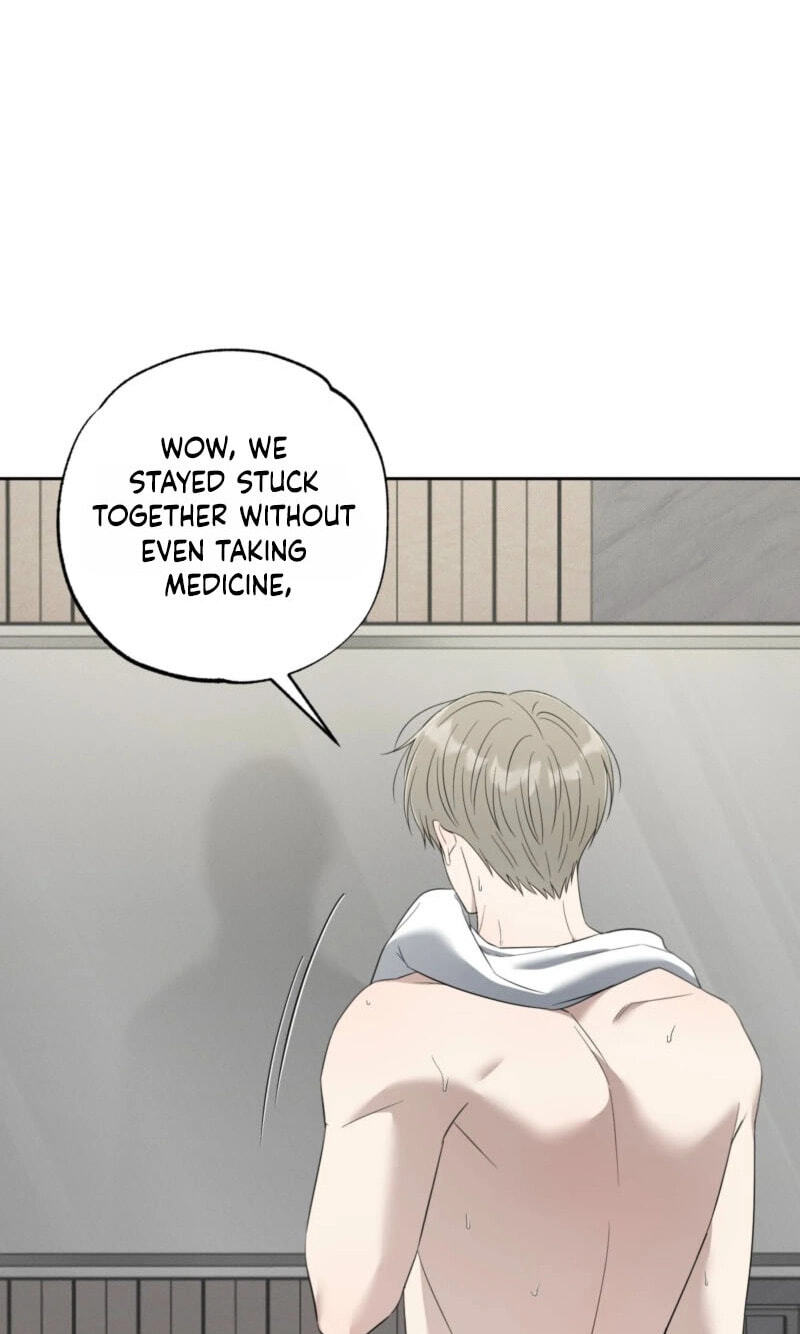 The Purrfect Match Chapter 37 page 70 - 