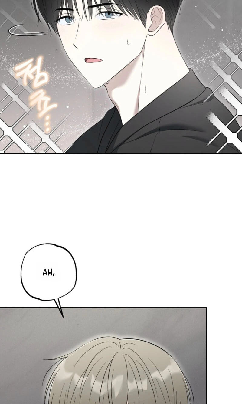 The Purrfect Match Chapter 37 page 75 - 