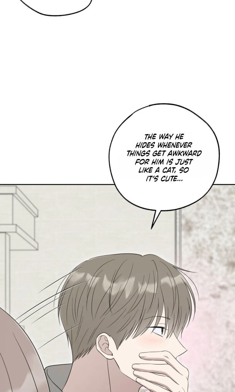 The Purrfect Match Chapter 38 page 40 - 