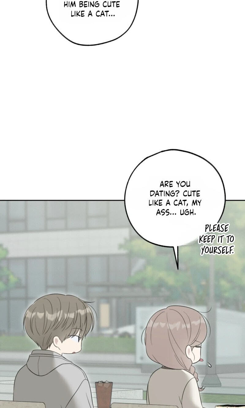 The Purrfect Match Chapter 38 page 43 - 