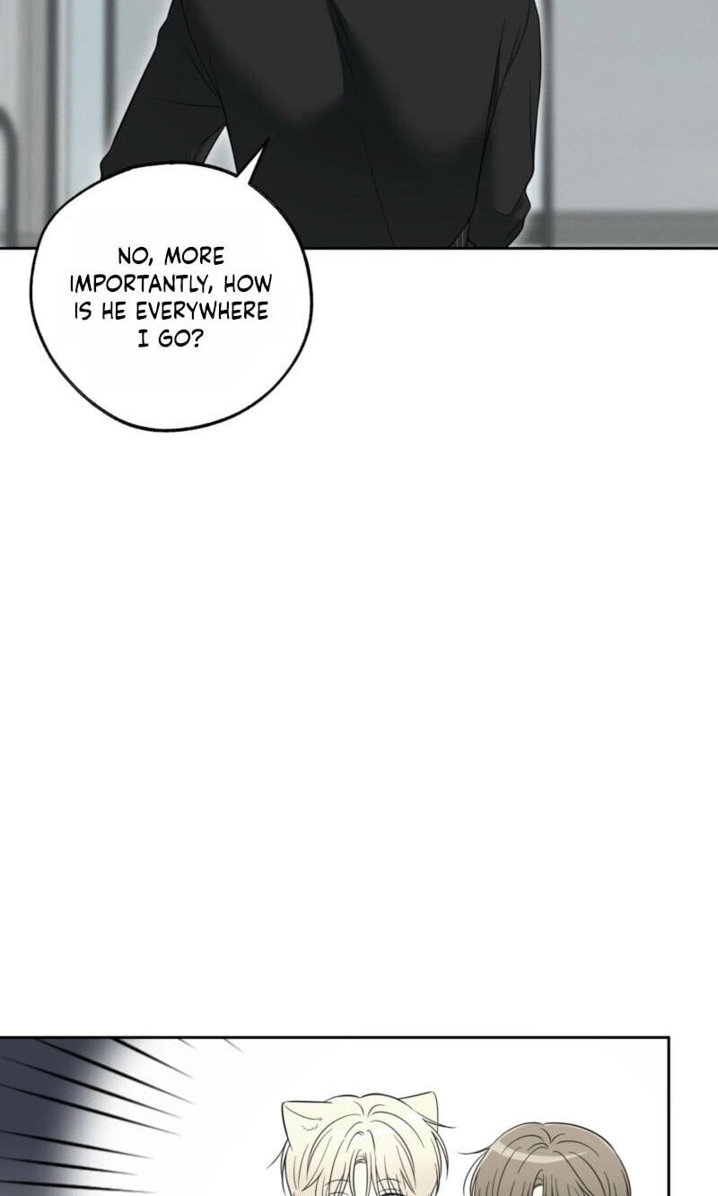 The Purrfect Match Chapter 38 page 69 - 