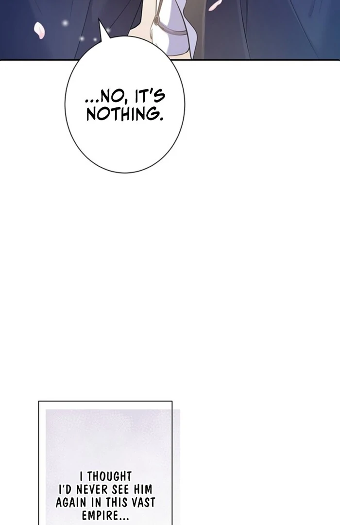 The Quiet Night You Disappeared Nowhere to Run from the Husband I Divorce Chapter 1 page 25 - 
