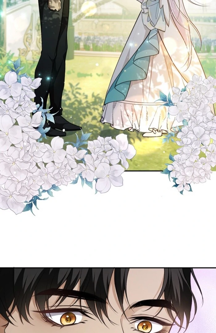 The Quiet Night You Disappeared Nowhere to Run from the Husband I Divorce Chapter 1 page 71 - 
