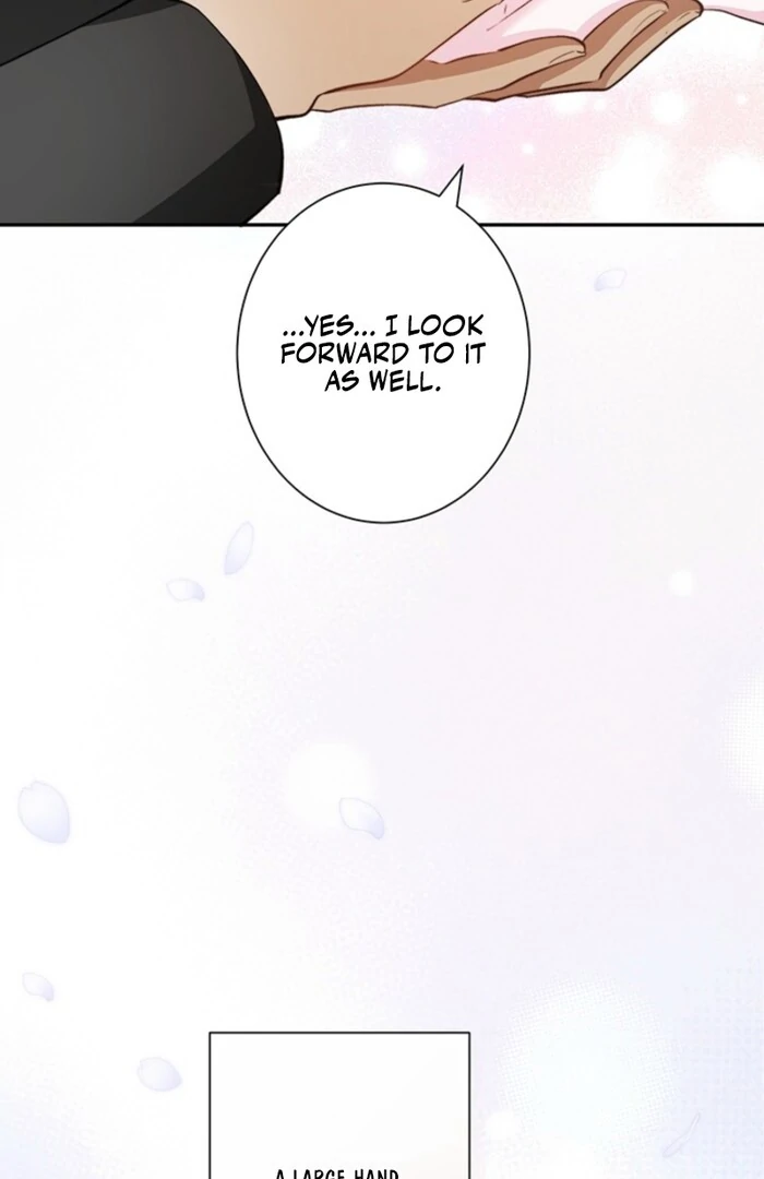The Quiet Night You Disappeared Nowhere to Run from the Husband I Divorce Chapter 1 page 82 - 