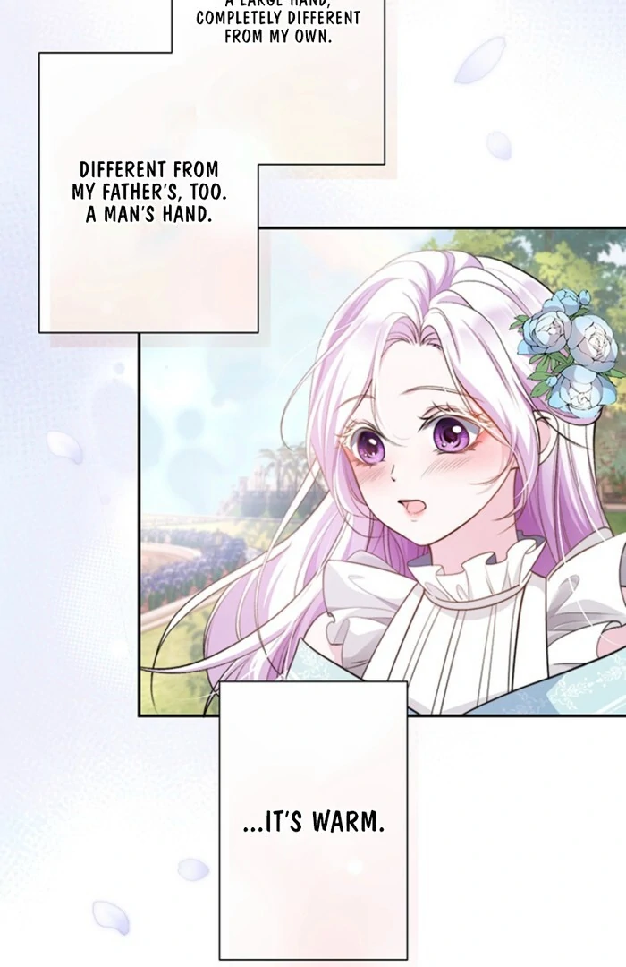 The Quiet Night You Disappeared Nowhere to Run from the Husband I Divorce Chapter 1 page 83 - 