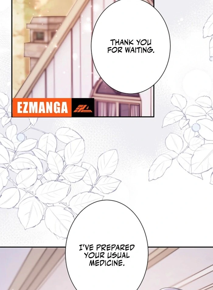 The Quiet Night You Disappeared Nowhere to Run from the Husband I Divorce Chapter 10 page 18 - 