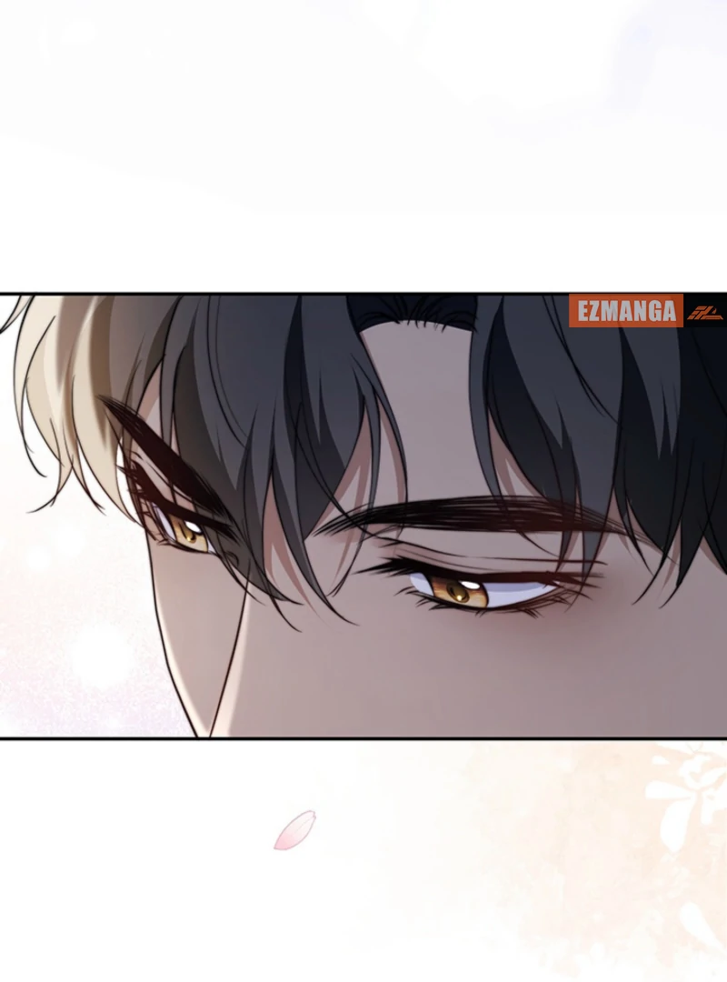 The Quiet Night You Disappeared Nowhere to Run from the Husband I Divorce Chapter 12 page 28 - 