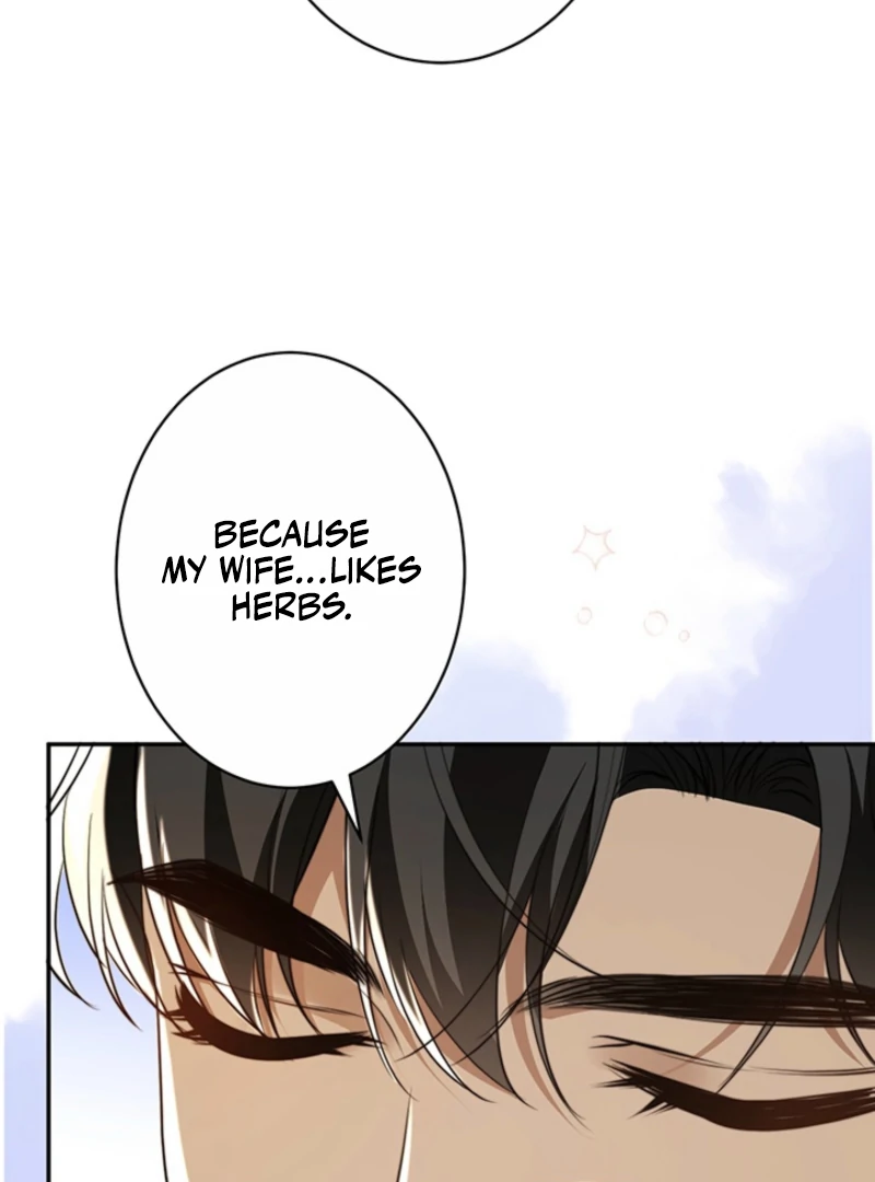 The Quiet Night You Disappeared Nowhere to Run from the Husband I Divorce Chapter 12 page 56 - 
