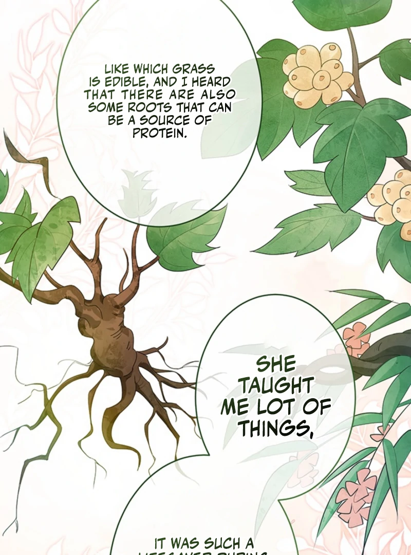 The Quiet Night You Disappeared Nowhere to Run from the Husband I Divorce Chapter 12 page 70 - 
