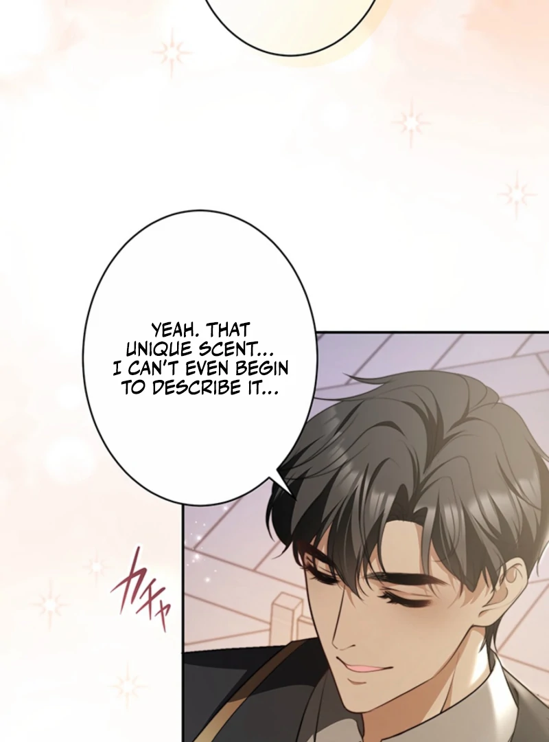 The Quiet Night You Disappeared Nowhere to Run from the Husband I Divorce Chapter 12 page 74 - 