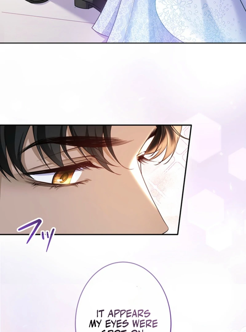 The Quiet Night You Disappeared Nowhere to Run from the Husband I Divorce Chapter 12 page 10 - 